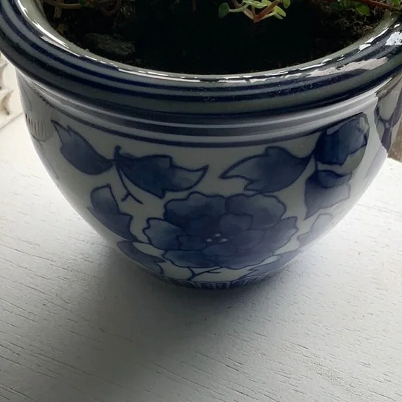 1 NEW NWT NIB LEFT  planter vase diameter 5” height 3.5 no drainage opening - Picture 7 of 9